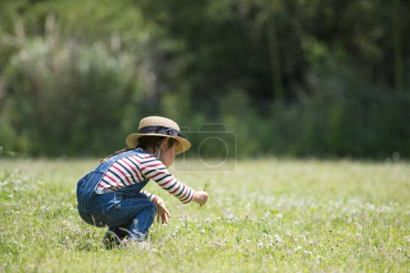 Téléchargez les photos : Fille cueillette de fleurs dans le champ - en image libre de droit