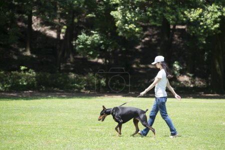 Téléchargez les photos : Femme avec chien dans un parc vert - en image libre de droit