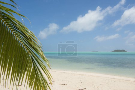 Téléchargez les photos : Belle plage dans la journée ensoleillée - en image libre de droit
