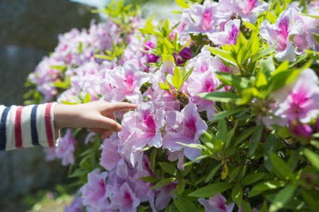 Téléchargez les photos : Enfant pointant des fleurs d'azalée dans le jardin - en image libre de droit