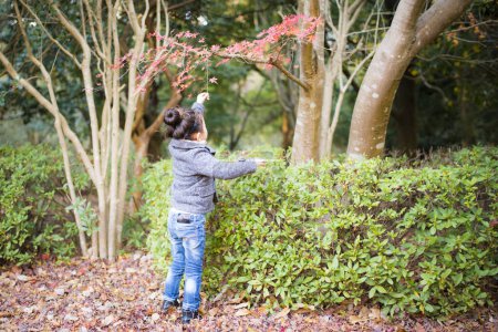 Photo for Little girl trying to get autumn leaves - Royalty Free Image