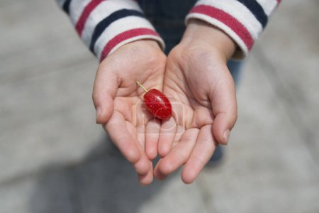 Photo for Child with the fruit of gummy - Royalty Free Image