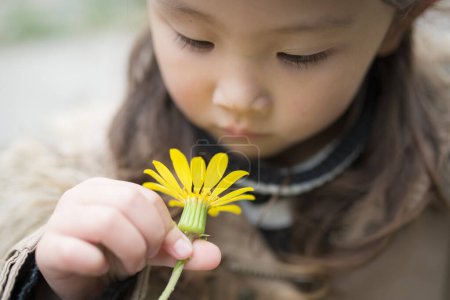 Photo for Little girl staring at the yellow flower - Royalty Free Image