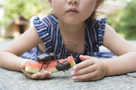 Téléchargez les photos : Petite fille pour observer les scarabées - en image libre de droit