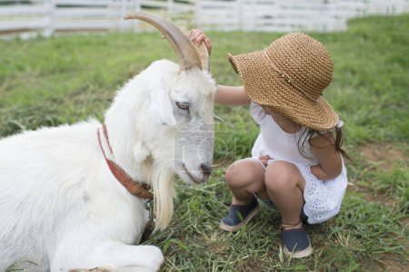 Téléchargez les photos : Mignonne petite fille dans chapeau alimentation avec chèvre à la ferme - en image libre de droit