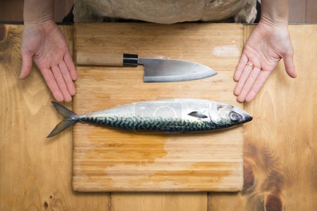 Téléchargez les photos : Femme cuisinant du poisson à bord - en image libre de droit