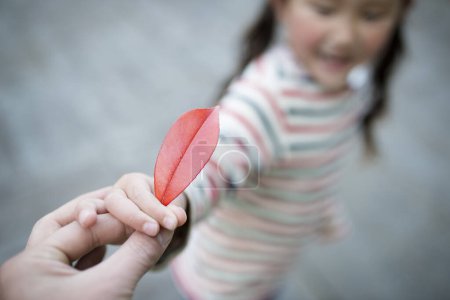 Téléchargez les photos : Les mains des parents et de l'enfant remettant la feuille rouge - en image libre de droit