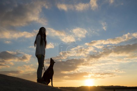 Photo for Doberman and female silhouette at sunset - Royalty Free Image