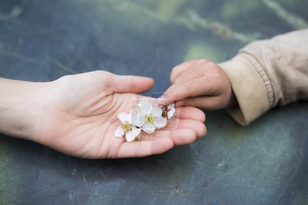 Photo for Parent and child handing white flowers - Royalty Free Image