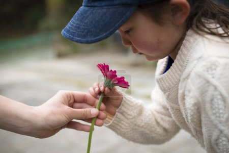 Téléchargez les photos : Petite fille pour recevoir la fleur rouge - en image libre de droit