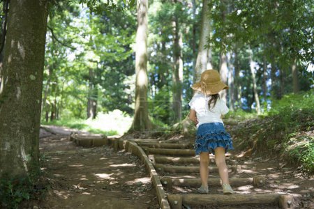 Téléchargez les photos : Fille marche dans la forêt avec chemin en bois - en image libre de droit