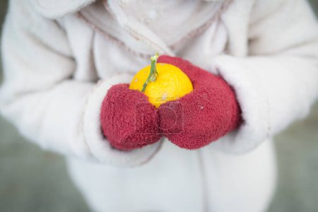 Téléchargez les photos : Enfant avec des fruits yuzu dans les mains - en image libre de droit