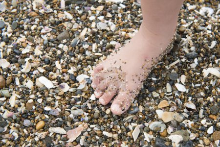 Photo for Child's foot with a sand - Royalty Free Image