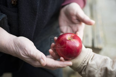 Téléchargez les photos : Main de parent et d'enfant avec une pomme - en image libre de droit