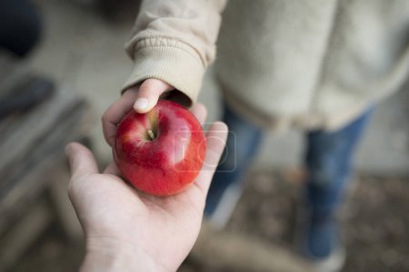 Foto de El padre y el niño manos con una manzana - Imagen libre de derechos