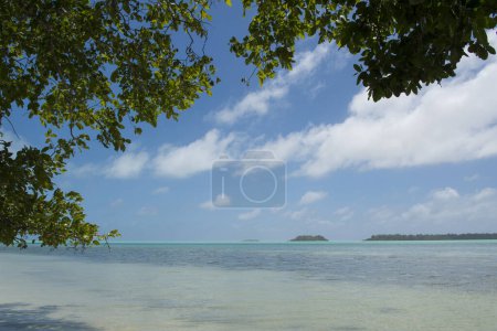 Téléchargez les photos : Belle plage dans la journée ensoleillée - en image libre de droit