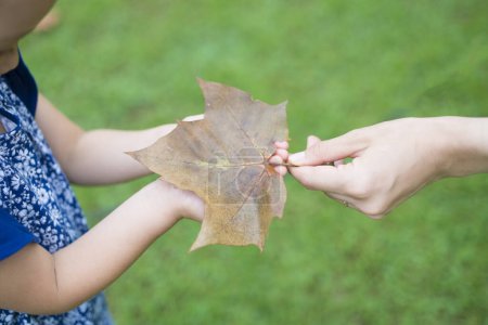 Photo for Parent and child hand over the Fallen leaf - Royalty Free Image