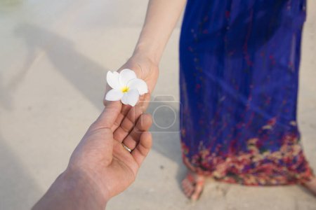 Téléchargez les photos : Homme et femme mains avec la Plumeria - en image libre de droit