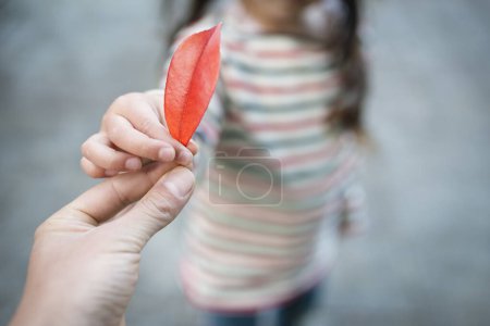 Parent and child hands handing red leaf
