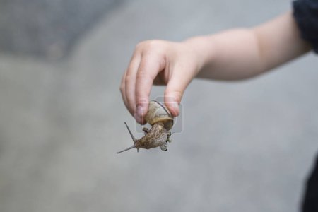 Foto de Child who found a snail - Imagen libre de derechos