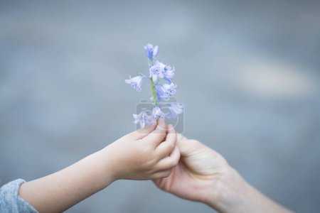 Photo for Parent and child handing blue flowers - Royalty Free Image