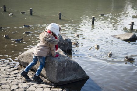 Photo for Little girl watching the pond birds - Royalty Free Image