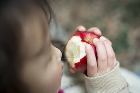 Photo for Little girl eating an apple - Royalty Free Image