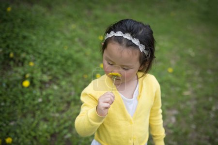 Photo for Girl smell the aroma of dandelion - Royalty Free Image