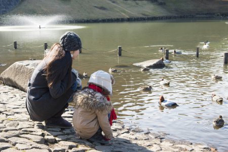 Photo for Mother and daughter looking at a birds in a pond - Royalty Free Image