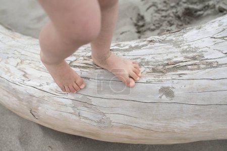 Téléchargez les photos : Enfant jouant dans la plage de sable de bois flotté - en image libre de droit