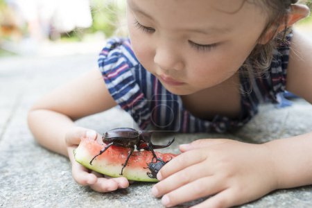 Téléchargez les photos : Petite fille pour observer les scarabées - en image libre de droit