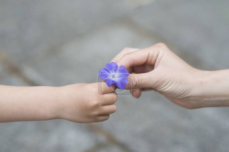 Téléchargez les photos : Parent et enfant remettant fleur bleue - en image libre de droit