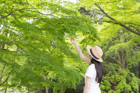 Téléchargez les photos : Femme pour voir le vert frais des arbres - en image libre de droit