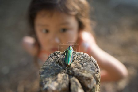 Téléchargez les photos : Un enfant a trouvé un coléoptère. - en image libre de droit