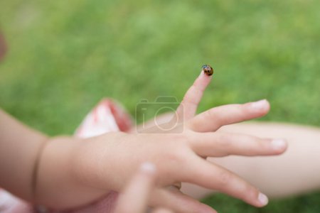 Photo for Ladybug perched on a child's hand - Royalty Free Image