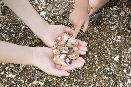Photo for Mother and Child playing with the shells - Royalty Free Image