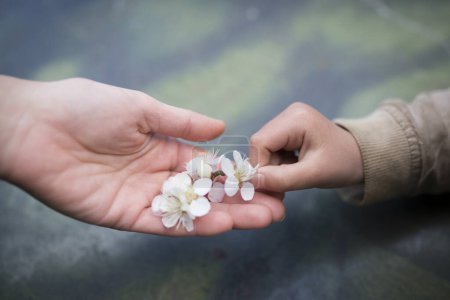 Photo for Parent and child handing white flowers - Royalty Free Image