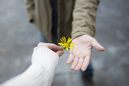 Téléchargez les photos : Mains d'homme et de femme avec fleur jaune - en image libre de droit