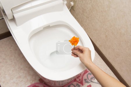 Person cleaning the white toilet 