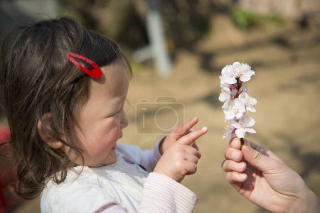 Téléchargez les photos : Petite fille qui est heureuse de voir des fleurs - en image libre de droit