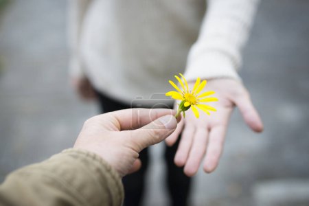 Téléchargez les photos : Mains d'homme et de femme avec fleur jaune - en image libre de droit