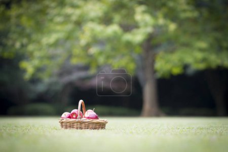 Foto de Un montón de manzanas en una cesta - Imagen libre de derechos