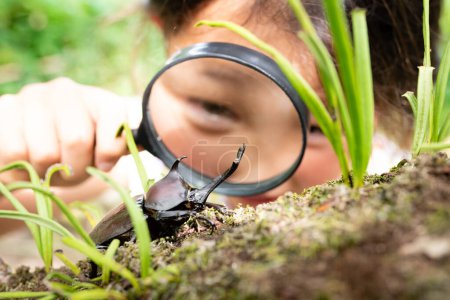 Photo for Girl sees a beetle with a magnifying glass - Royalty Free Image