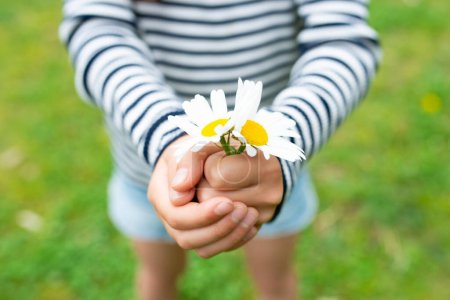 Téléchargez les photos : Enfant qui tient une fleur - en image libre de droit