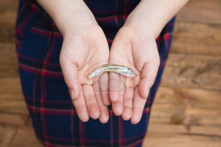 Foto de Manos de niño con sardina hervida - Imagen libre de derechos