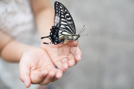 Téléchargez les photos : Papillon pris dans les mains des enfants - en image libre de droit