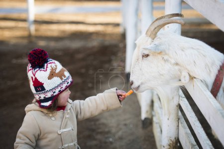 Téléchargez les photos : Petite fille nourrir la chèvre - en image libre de droit