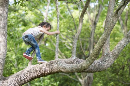 Glückliches kleines Mädchen klettert auf einen Baum