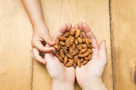 Photo for Parent and child hands handing almonds - Royalty Free Image