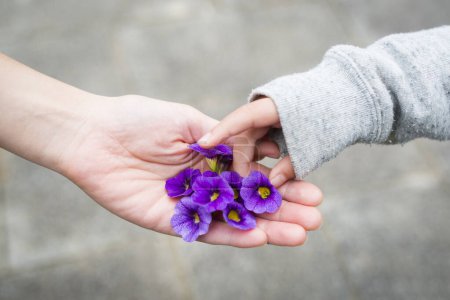 Téléchargez les photos : Mains de parents et d'enfants qui distribuent des fleurs - en image libre de droit